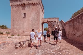 Tour Rural Park of Masseria with 3 labels of EVO oil Tasting
