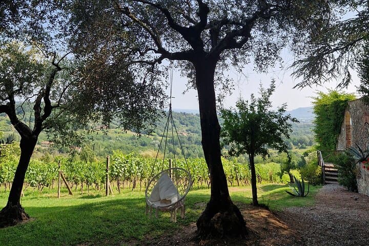 Wine Tour in the Countryside of Lucca with Lunch - with Minivan — photo 1 of 6