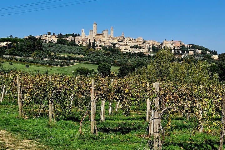 San Gimignano and Siena Private Wine Tasting Tour with Lunch — photo 1 of 6