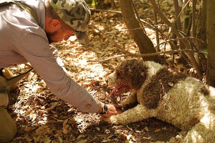Truffle Hunting in Tuscany with Tasting - Private — photo 1 of 23