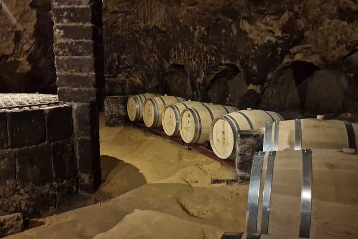 Wine Tasting in Montepulciano Private Tour from Rome — photo 1 of 24