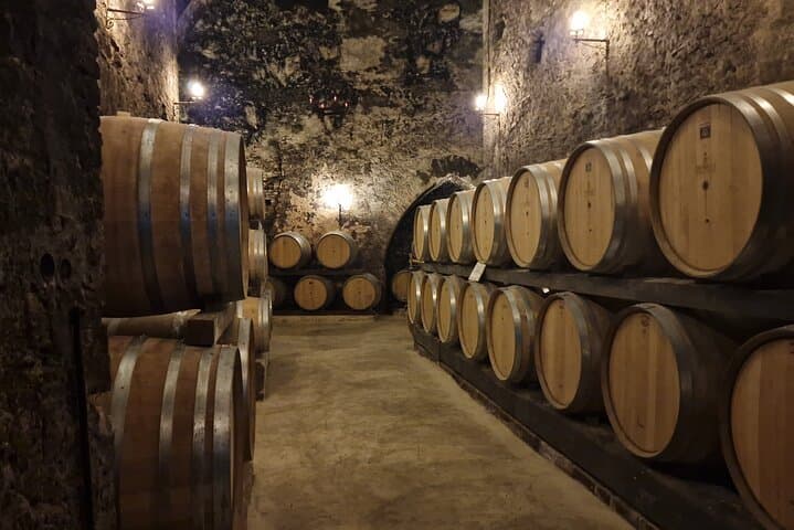 Montepulciano Vineyards & Wine Tasting Tour from Rome — photo 1 of 27