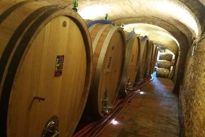 A Journey Across Tuscany’s History, Olive Oil Heritage and Beauty — photo 1 of 9