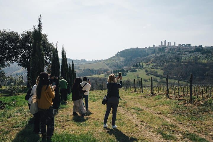 Private Tour from Florence to Pisa Siena S Gimignano and Chianti — photo 1 of 21