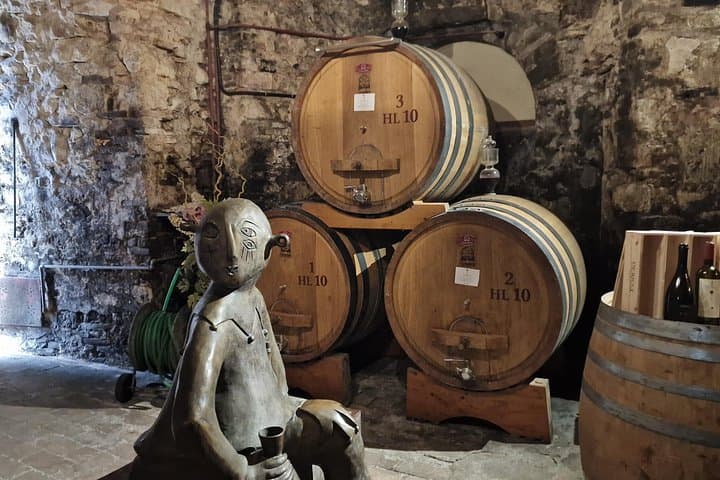 Wine Tasting in Montepulciano Private Tour from Rome — photo 1 of 20