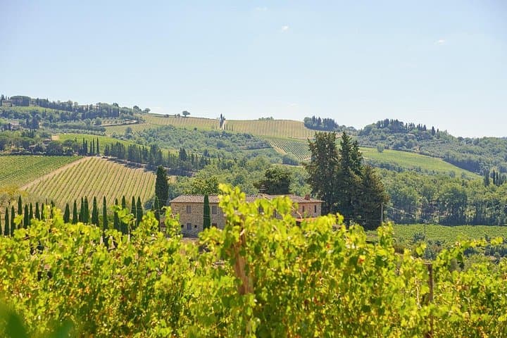 Florence: Private Half-Day Chianti Tour and Wine Tasting Optional — photo 1 of 21