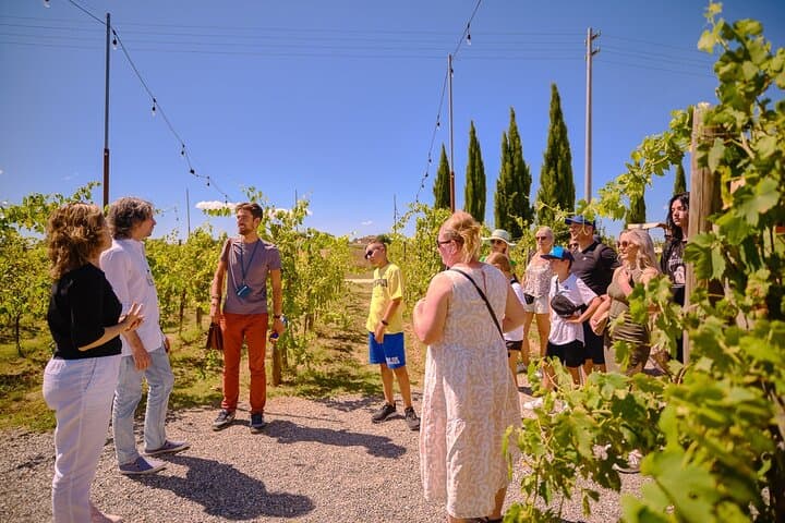 Siena, San Gimignano and Chianti Wines Day Tour from Florence — photo 1 of 40