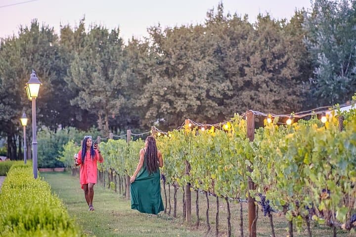 Exclusive Winery Tour with Tasting and Dinner in Chianti vineyard — photo 1 of 19