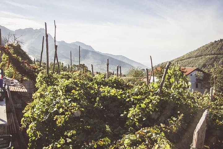 Full Day Private Amalfi Coast Wine and Food Tasting Tour — photo 1 of 27