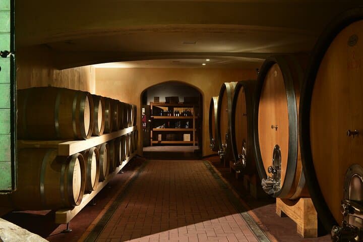 Amarone wine experience in Valpolicella region — photo 1 of 8