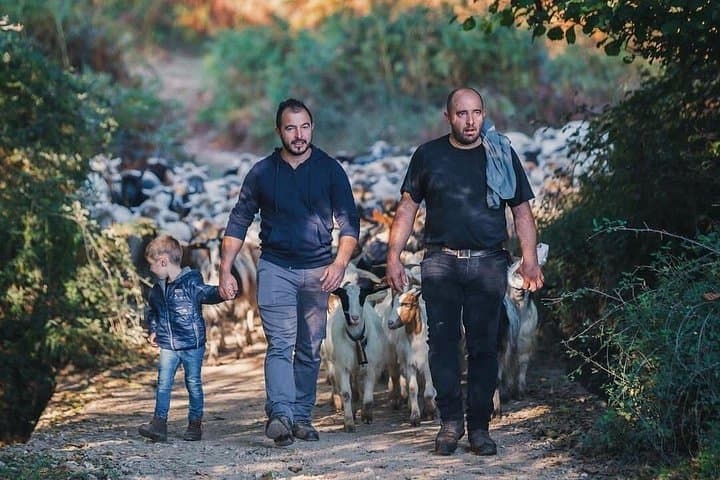 Tour in the footsteps of Sardinian shepherds: experiencing transhumance — photo 1 of 6