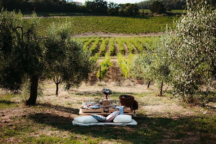 Luxury Picnic Experience in Tuscany — photo 1 of 7