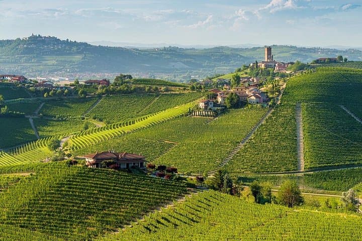 Full-Day Private Piedmont Wine Tour Experience from Torino — photo 1 of 6