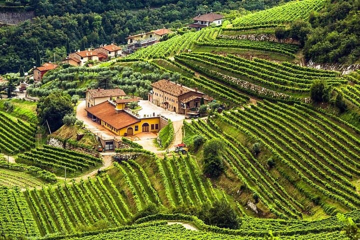 Private Valpolicella Wine Tour Experience from Verona — photo 1 of 6