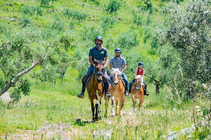 Horseback riding and aperitif 2 hours for beginners — photo 1 of 10