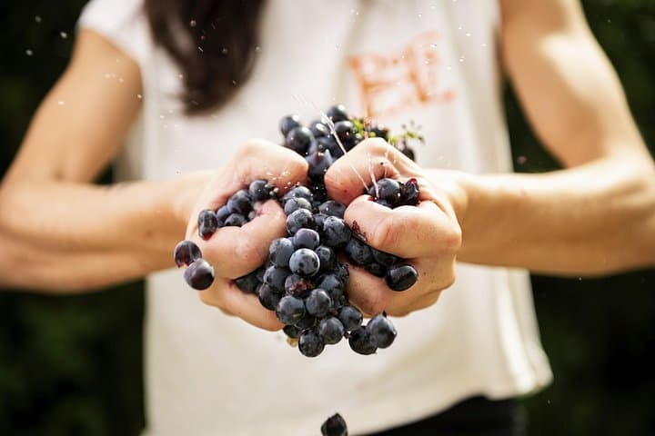 3-Hour Private Food and Wine Experience in Montalcino — photo 1 of 13