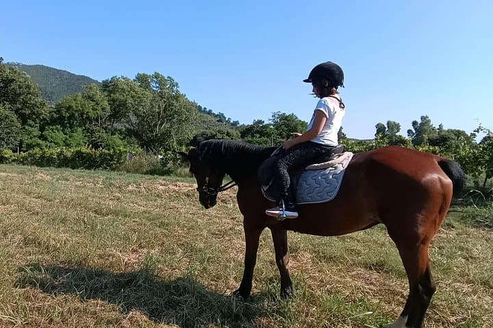 horseback riding for children — photo 1 of 21