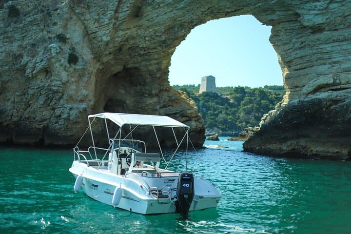 Rent a 40cv equipped boat in Vieste without a license for 4 hours — photo 1 of 9