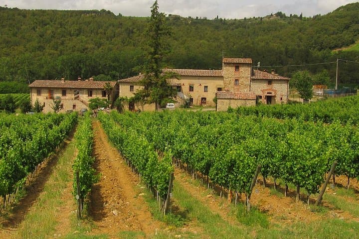 Chianti Day trip from Florence — photo 1 of 5