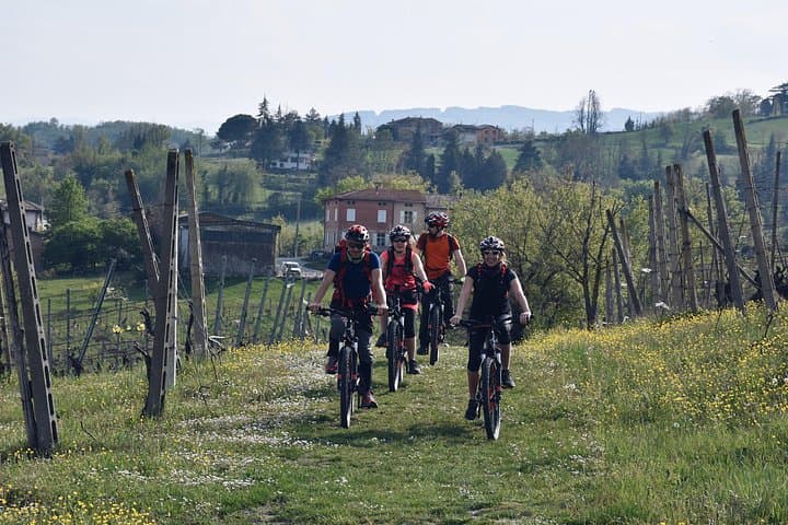 Half Day Private E bike Tour in Parma — photo 1 of 8