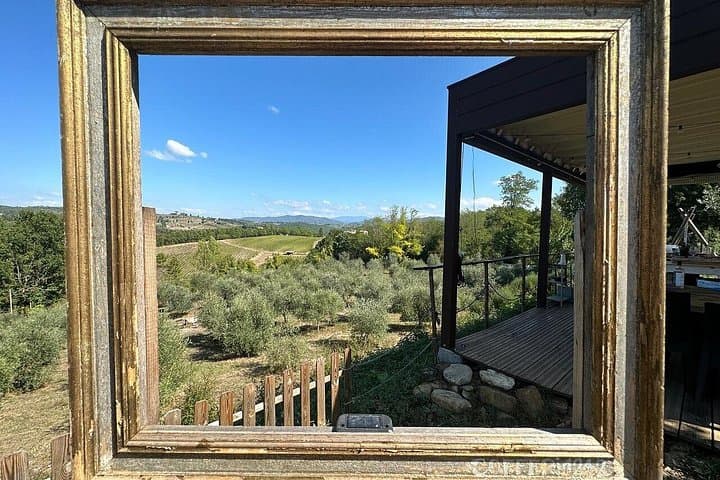 Evo Oil Tasting School, olive grove walk and lunch — photo 1 of 30