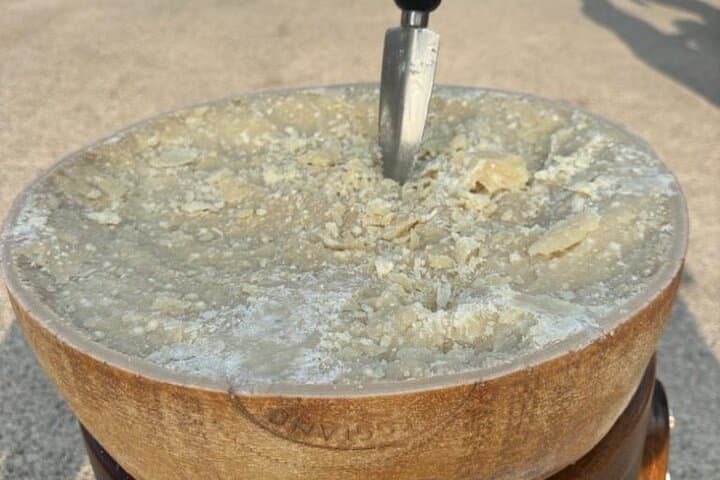 From Bologna: Parmesan Cheese & Balsamic Vinegar Tour+Lunch — photo 1 of 6
