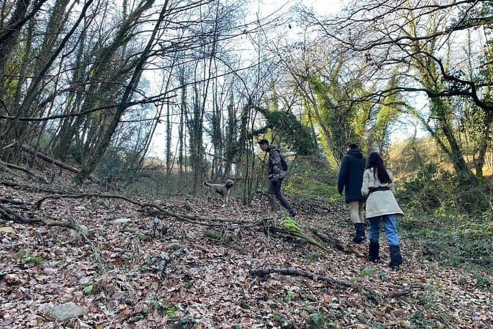 Truffle Hunting in Chianti, pasta class and lunch — photo 1 of 40