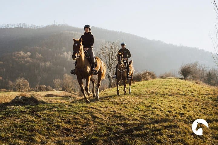 Horseback riding for experts between the lake and the mountains — photo 1 of 10