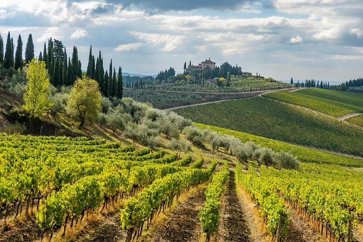 Chianti Wine Tour - Private Wine experience in Tuscany Countryside — photo 1 of 12