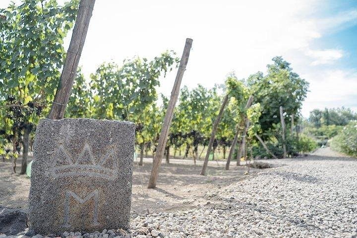 6 Hour Pompeii and Winery Private Tour — photo 1 of 6