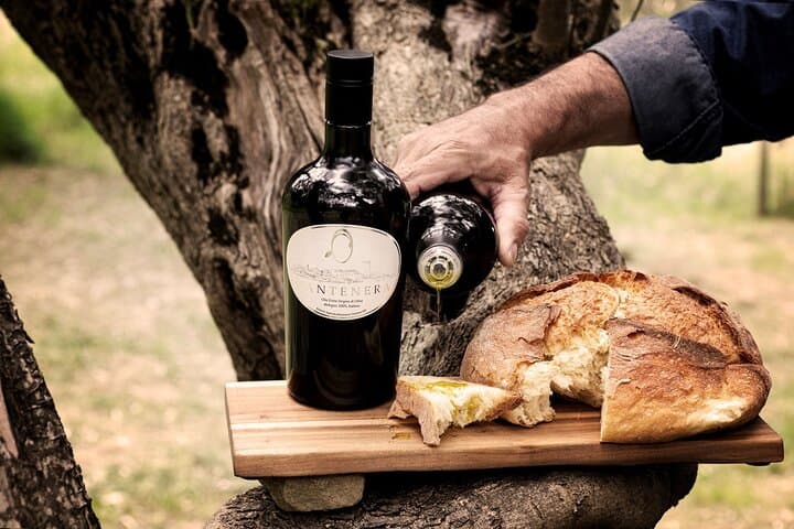 Lucanian Dolomites: Slow Food Olive Grove Tour & EVOO Tasting — photo 1 of 11