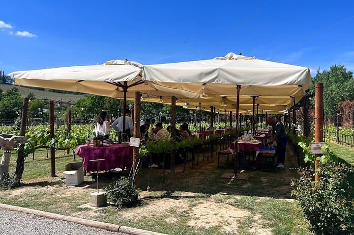 Siena and San Gimignano from Rome: Private Wine Tour in Tuscany — photo 1 of 19