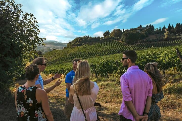 Guided Winery Tour and Wine Tasting in Siena — photo 1 of 10