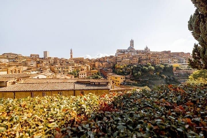 Siena Highlights Private Walking Tour With A Guide (Private Tour) — photo 1 of 5
