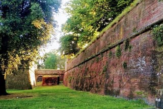 Lucca and Optional Wine Tasting Private Tour from Livorno Port