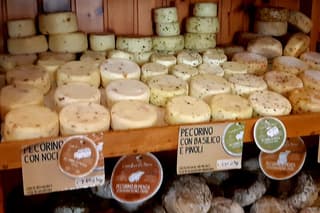 Wine and Cheese tour in Chianti: A Gourmet Experience