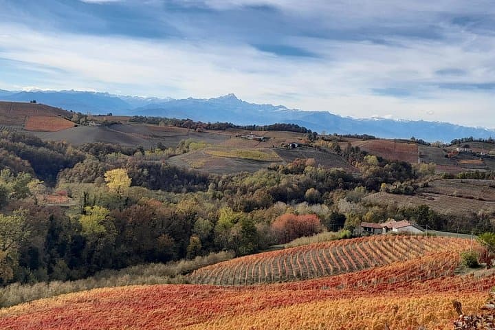 Wine and Typical Product Tasting Tour — photo 1 of 8