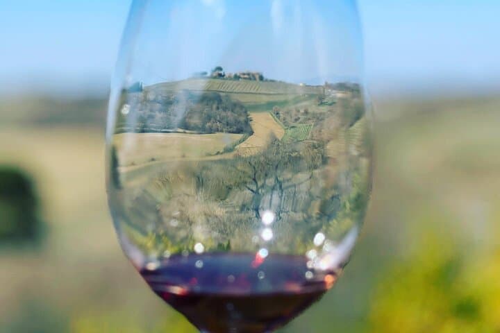 Montepulciano: Wine Tour and tasting — photo 1 of 18
