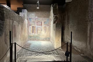Private Ancient Rome Tour of Domus Tiberiana & Palatine Hill