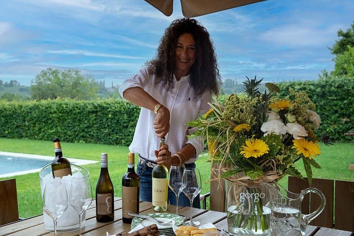 5 Wines Tasting on Custoza Hills with Vineyard Visit — photo 1 of 9