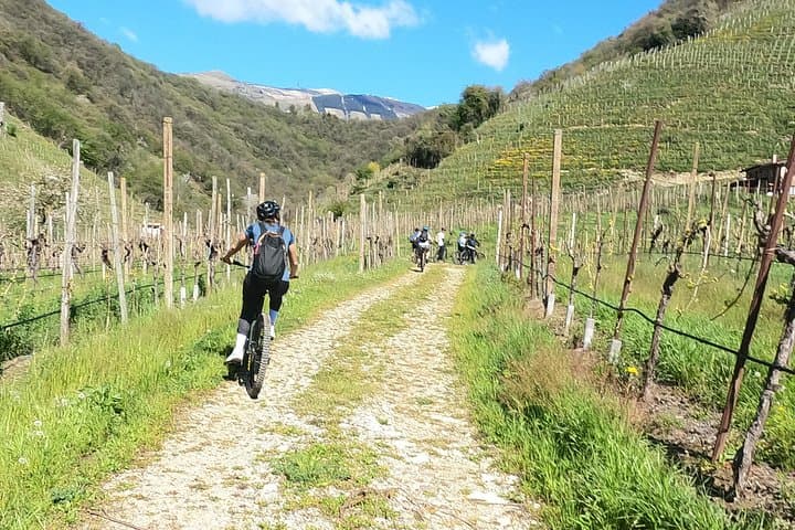 Half-Day E-Bike Tour in Prosecco Hills with Prosecco Tasting — photo 1 of 18