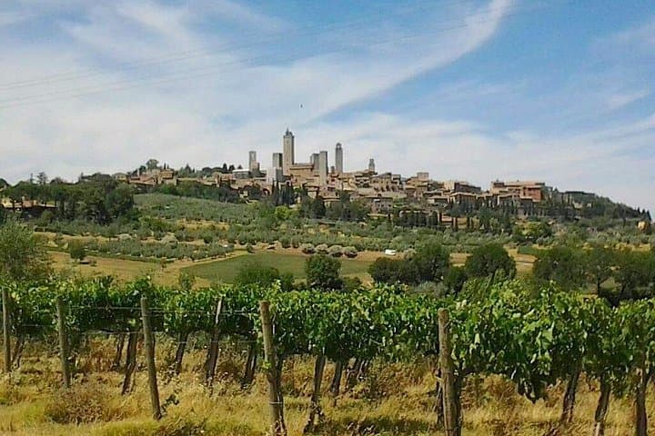 San Gimignano and Volterra Private Shore Excursion from Livorno — photo 1 of 12
