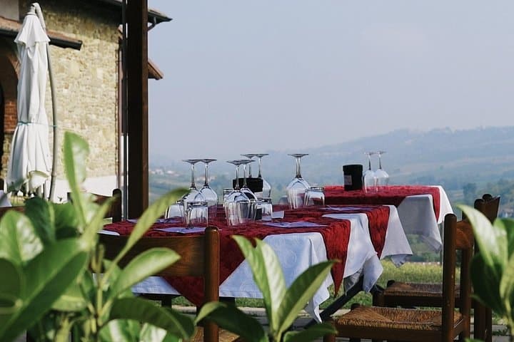 Visit winery and vineyards, tasting 4 wines with 3 matching dishes — photo 1 of 7
