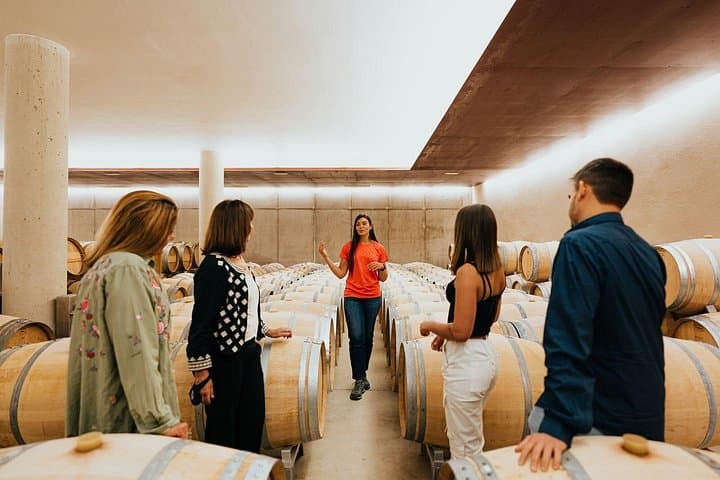 From Milan: Barolo Private Wine Tour with a Private Driver — photo 1 of 35