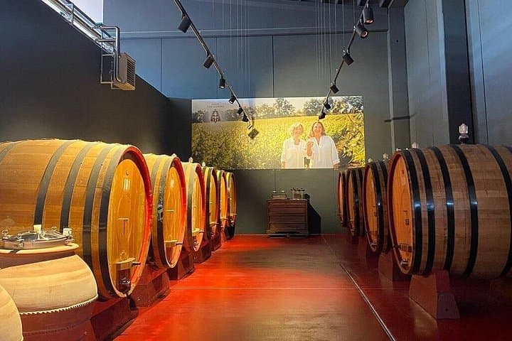 Visit and wine tasting 30 minutes from Pescara — photo 1 of 8