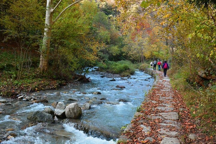 Val Senagra - The Enchanted Valley — photo 1 of 8