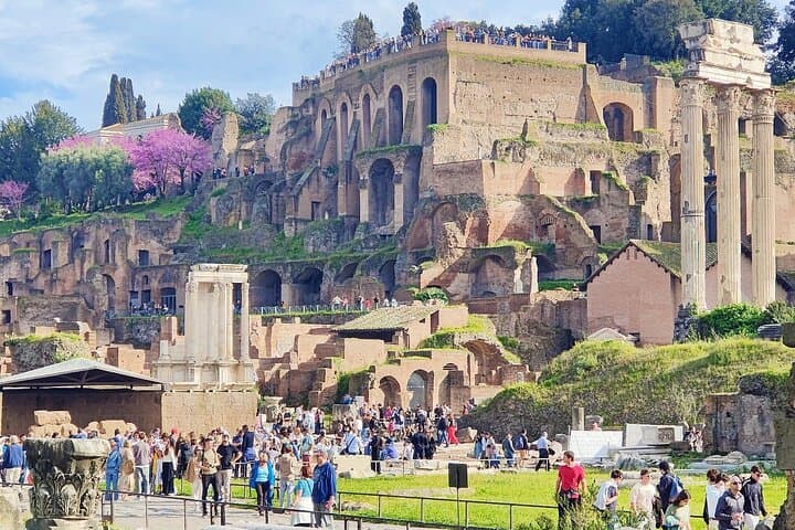 Rome: Guided Tour of the Roman Forum & Palatine Hill — photo 1 of 25