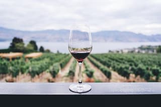 Visit Sorrento, Pompeii & enjoy Wine-Tasting lunch (8-hour tour)