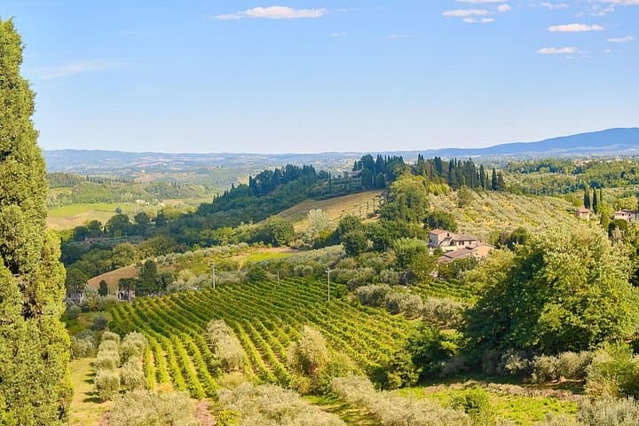 Private Tuscany Tour from Florence Including Siena, San Gimignano and Chianti Wine Region — photo 1 of 16