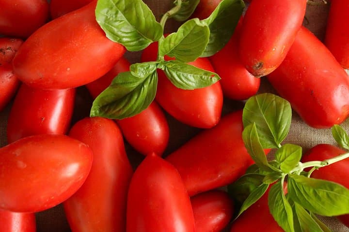 Tuscan World Famous Cuisine Activity with a Local Food Expert — photo 1 of 35